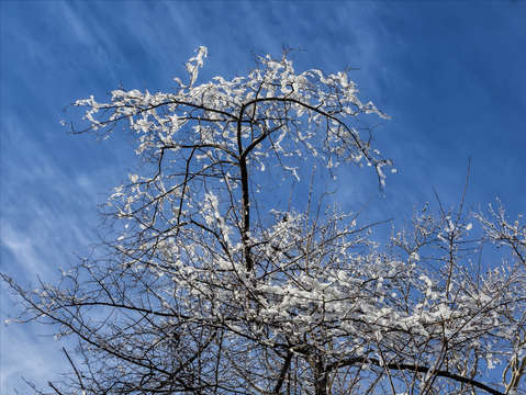 Snow ice and raches