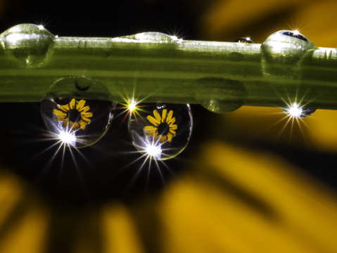 Stellar Arrangement 7969