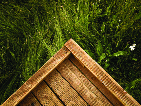 Grass and Wood