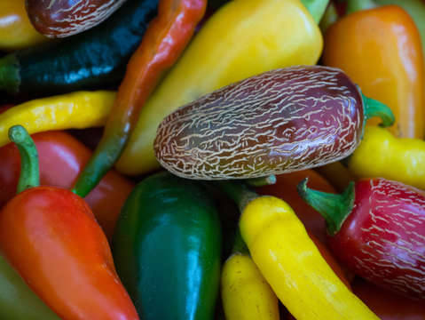 Peppers x