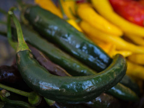Peppers XI