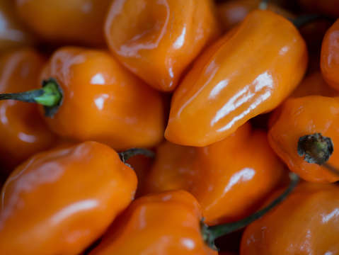 Peppers XIII