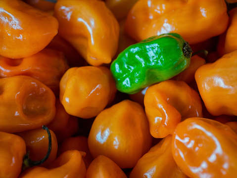 Dare to be different