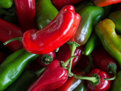 Peppers ix