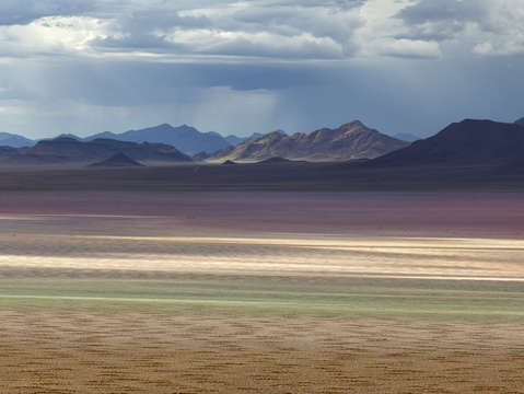 Fairy circles