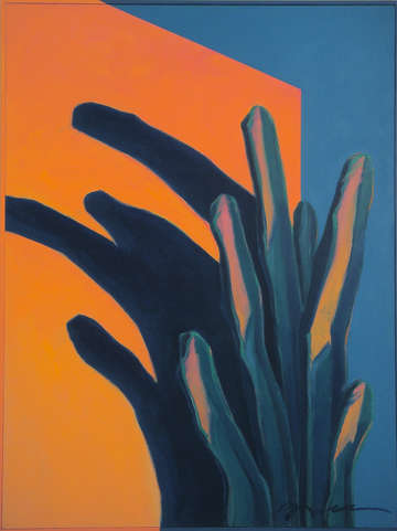 Cactus shadow
