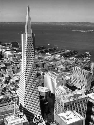 Transamerica bw