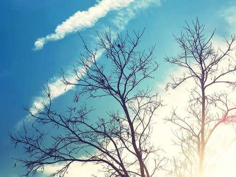 Images of light