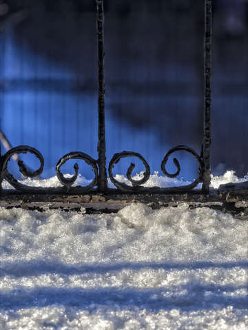 Morning light 5