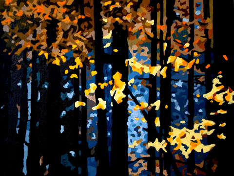 Light through darkness