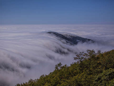 Rolling fog
