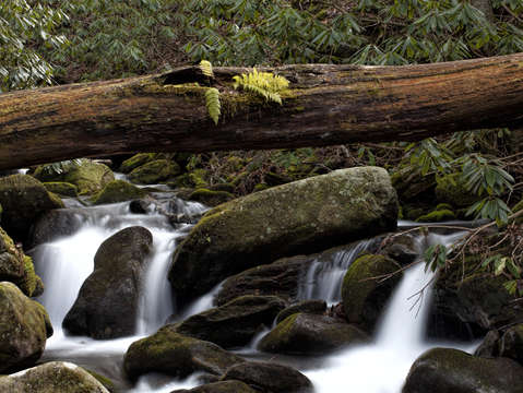 Staire creek