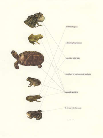 Scientific classification