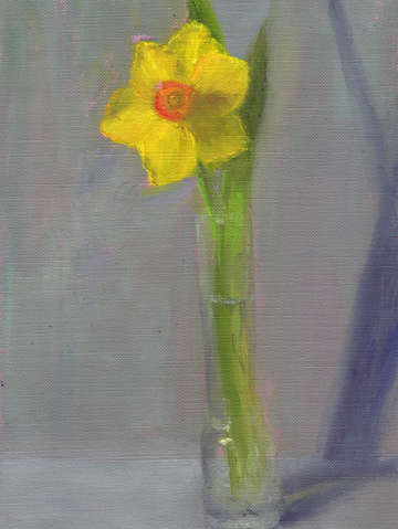 Daffodil in Glass Vase