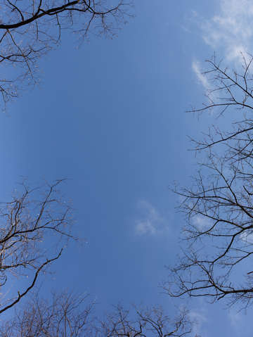 Sky with cloud