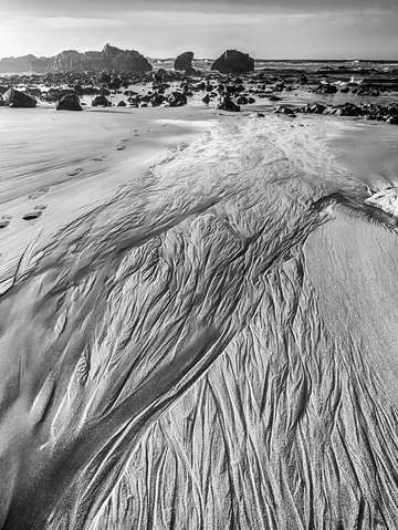 Braided Stream on Pescadero Beach