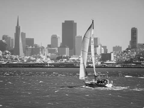 Sailing on san francisco bay
