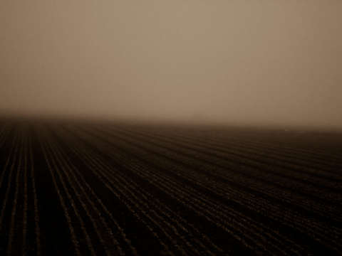 Farm