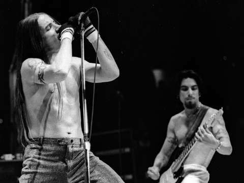 Red hot chili peppers