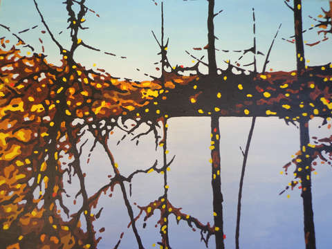 Walden pond