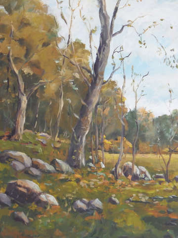 Forest clearing