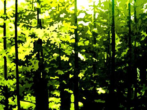 Into the green