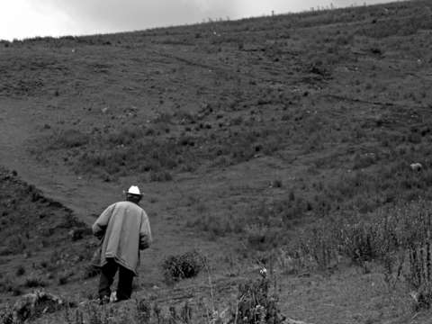Herder in the mountains