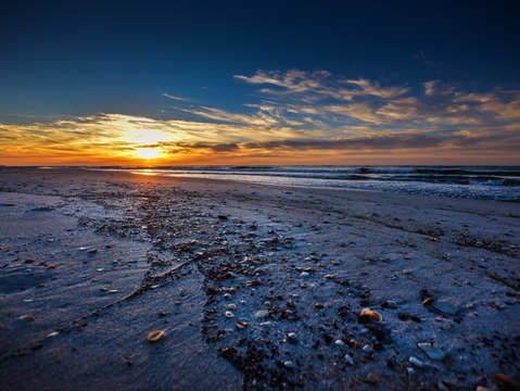 Wave of shells