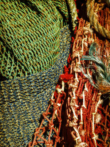 Colorful ropes i