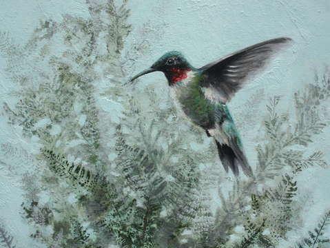 Red throated humming bird