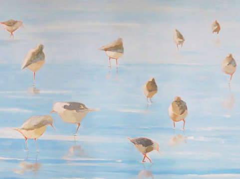 Birds by the waters edge 2