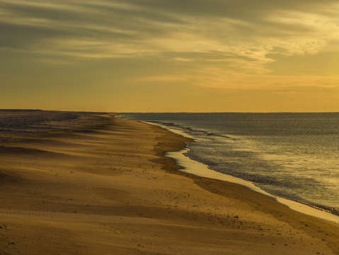 Golden beach