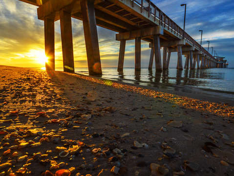 Shells under the pier