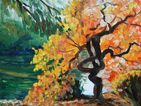 Twisted tree by the river
