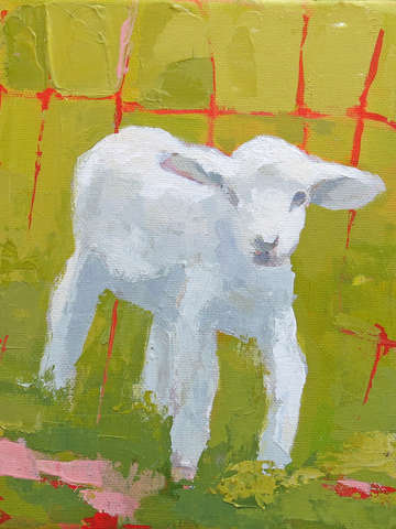 Baby lamb