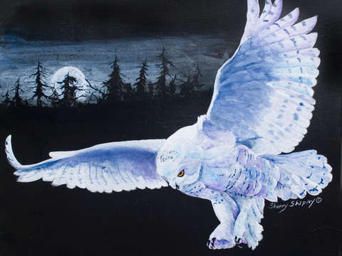 Night flight