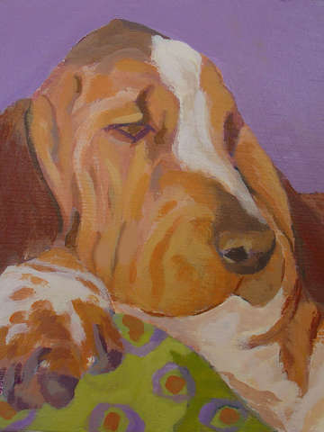 Bassett housnd
