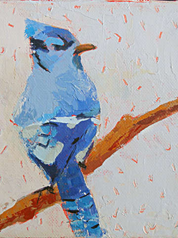 Blue jay