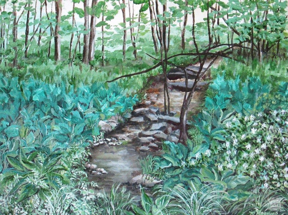 Cabbage in the woods