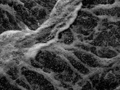 Water close up three