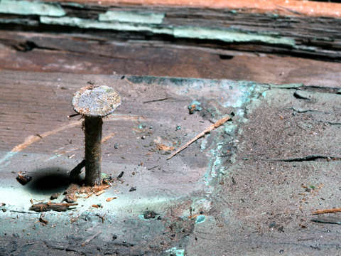 Galvanized Nail with Oxidized Paint