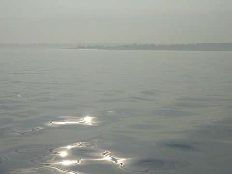 Peace In The Fog