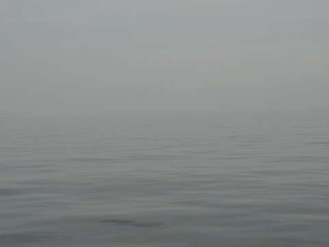 Peace In The Fog II