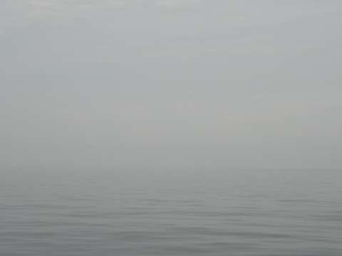 Peace in the fog iii