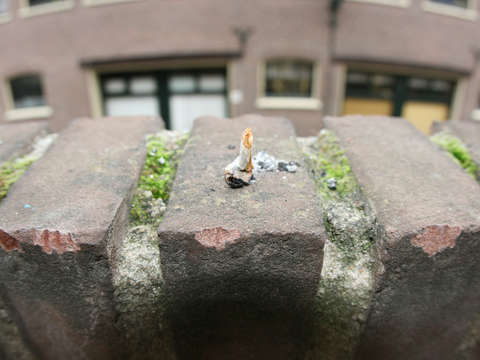 The end of a joint