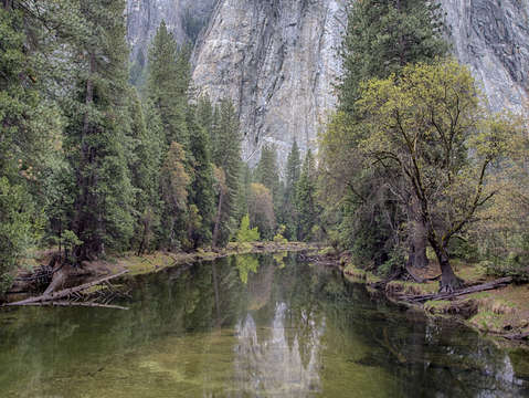 Reflections in the merced river