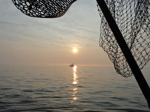 Block island sounds catch of the evening