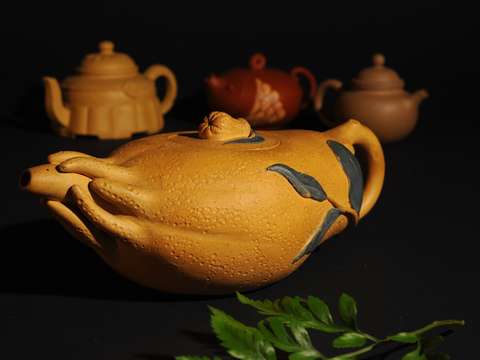 Buddhas palm 2