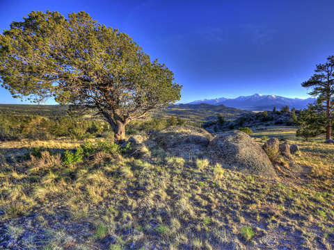 Collegiate Peaks 1177