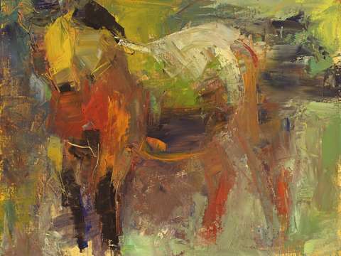 Horse 6